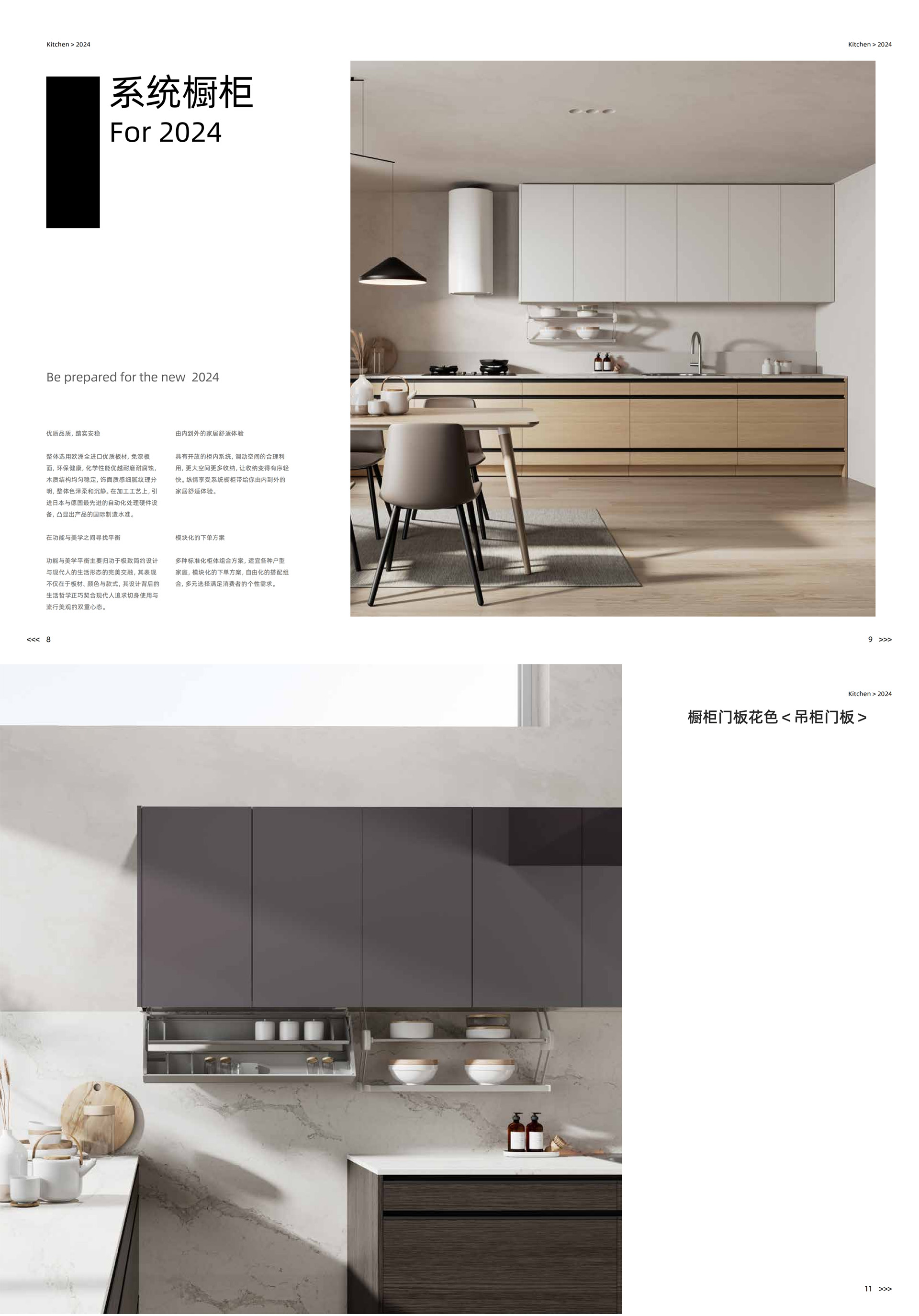 04富士 (Fji）日式风格橱柜_00.jpg